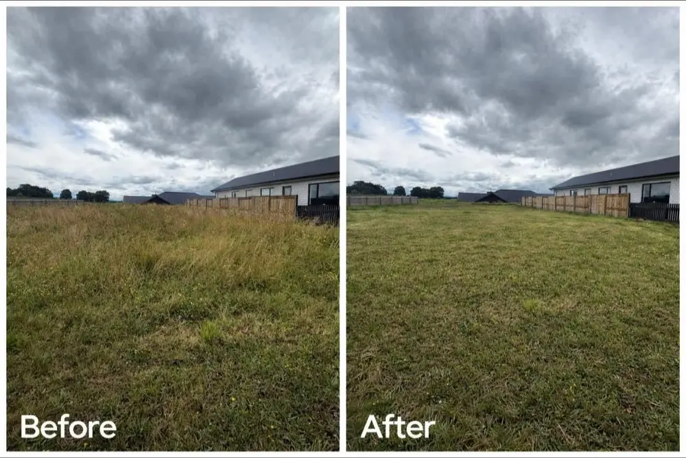 Before and after photo of a Te Awamutu lawn mowed by JR Lawn Mowing