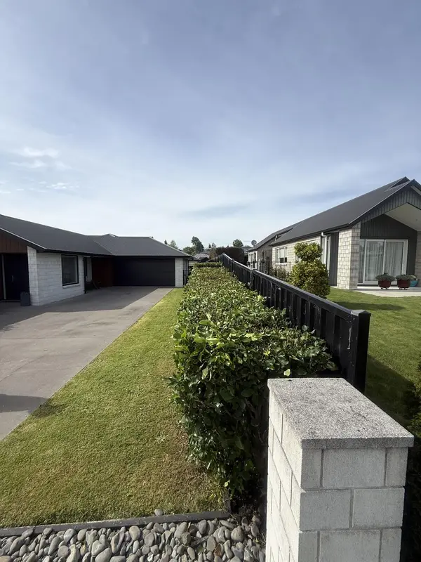 Trimmed hedge and driveway lawn by JR Lawn Mowing in Te Awamutu