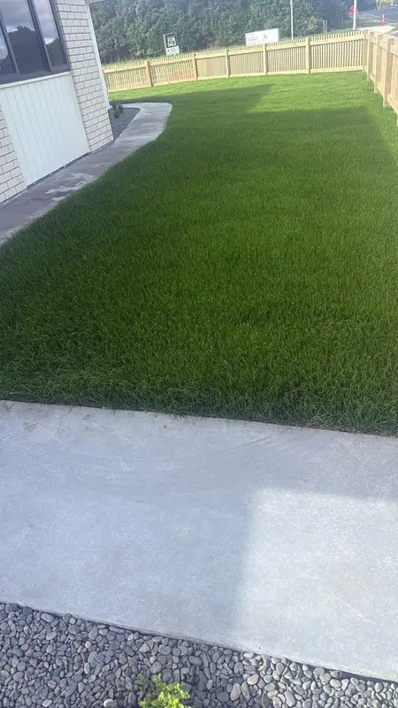 Close-up of a lush green lawn mowed by JR Lawn Mowing